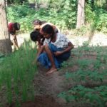 Sylvia Lanka Foundation Logo