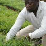 Self Help Africa Logo