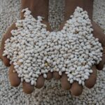 Self Help Africa Logo