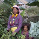 PHASE Worldwide Logo